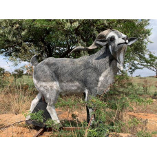 Wildcrete Billy Goat / Feral Goat